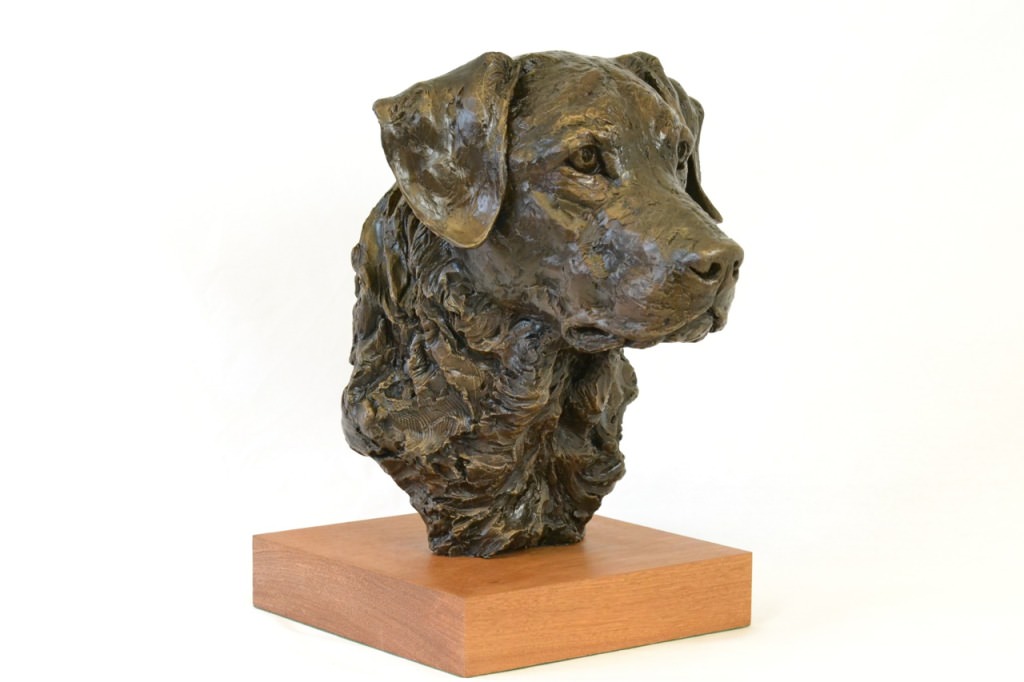Labrador Portrait - Dog Sculpture. Sculpture portrait of a labrador by Tany Russell