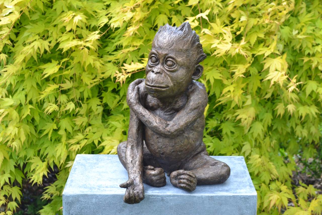 Baby Orangutan Sculpture | Bronze Orangutan Statue | Outdoor Art