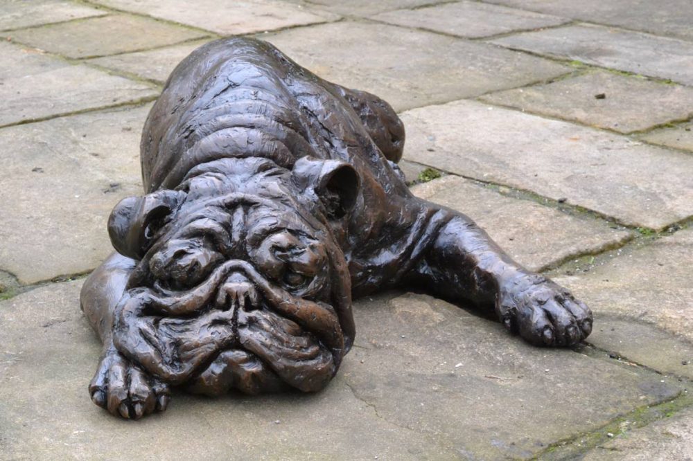Bronze English Bulldog Sculpture