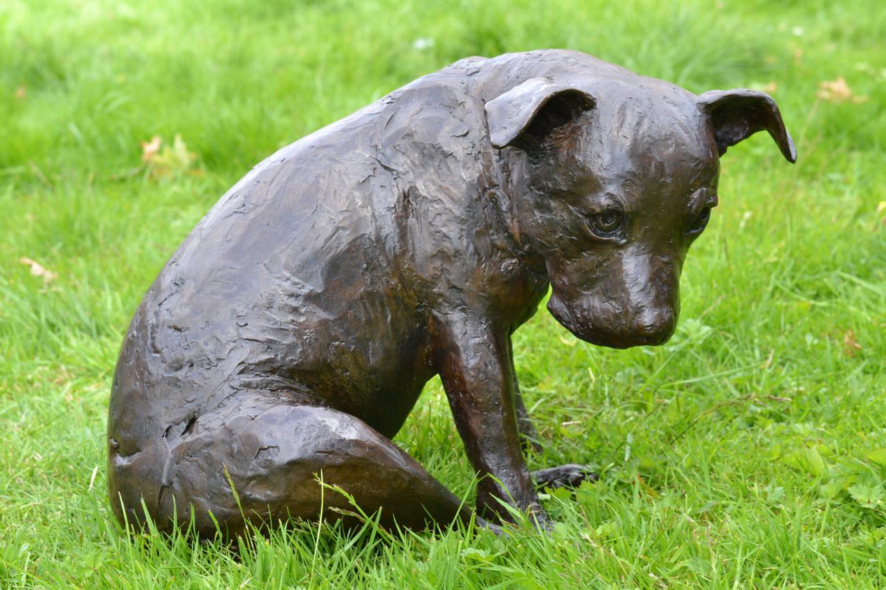 'Stargazers' man and dog on ring sculpture