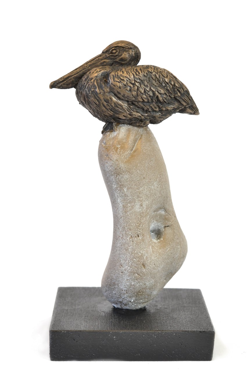bronze pelican sculpture by animal sculptor tanya russell