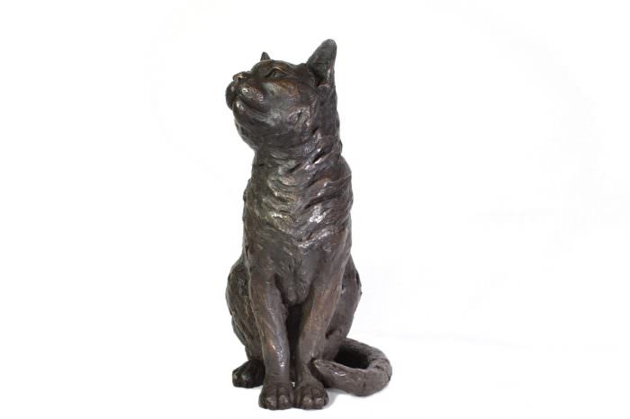 Bronze Sitting Cat sculpture by sculptor Tanya Russell, MRBS