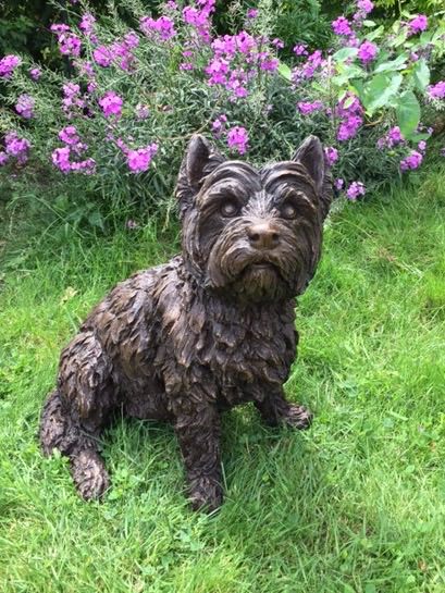 Sitting West Highland Terrier Outdoor