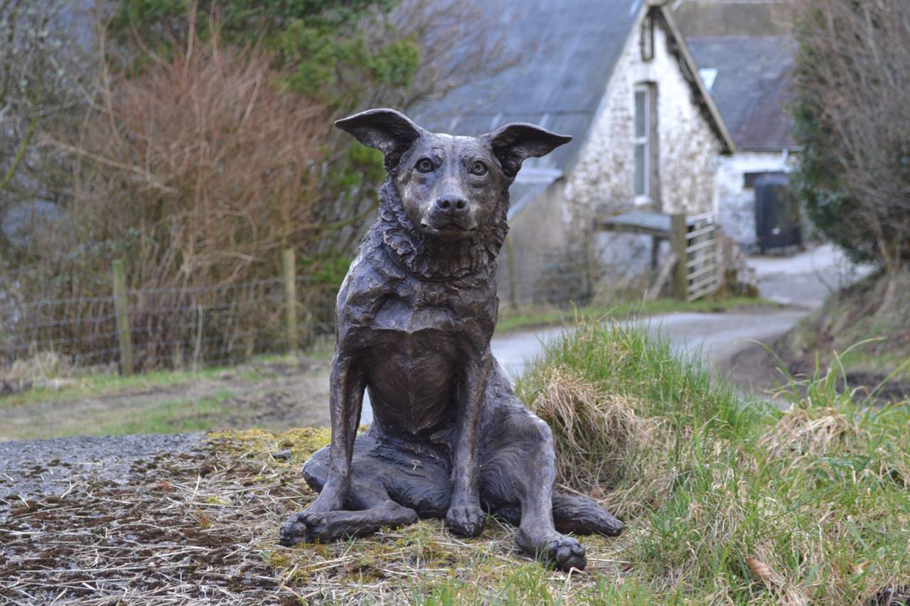 Sitting Border Collie Puppy Statue