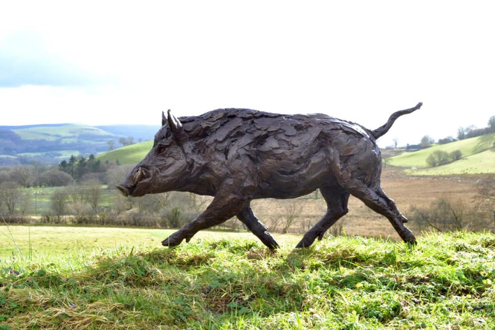 Life-sized Wild Boar sculpture right side view Wildlife Artist of the Year Show