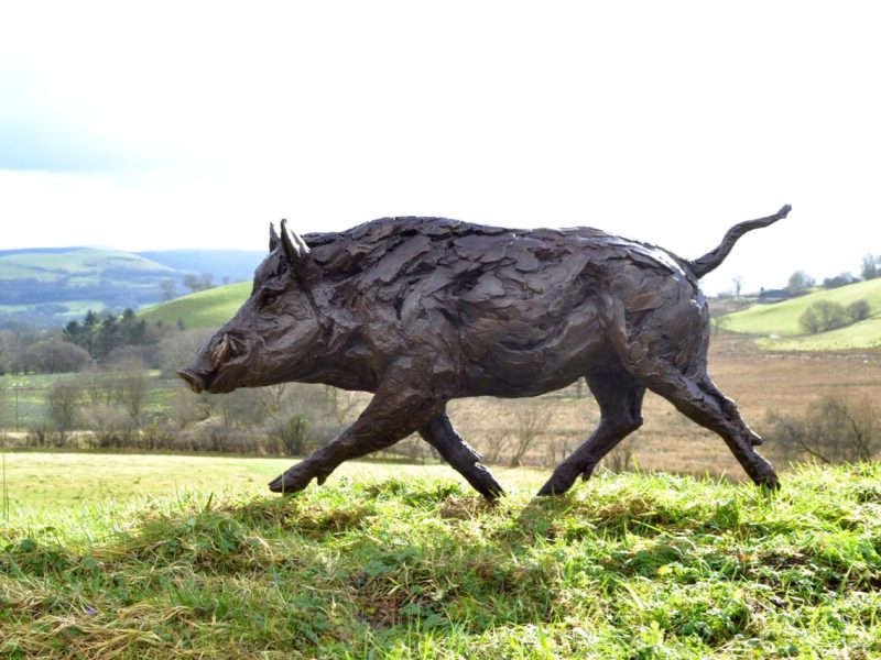 Life-sized Wild Boar sculpture right side view Wildlife Artist of the Year Show
