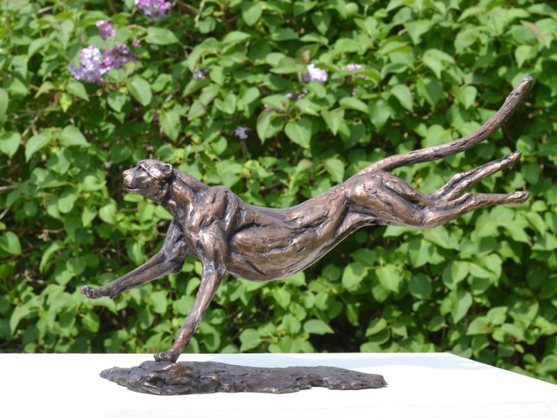 Running Cheetah sculpture in foundry bronze left side view