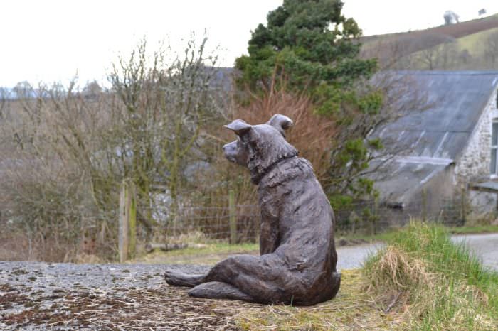Bronze Sitting Border Collie Sculpture By Sculptor Tanya