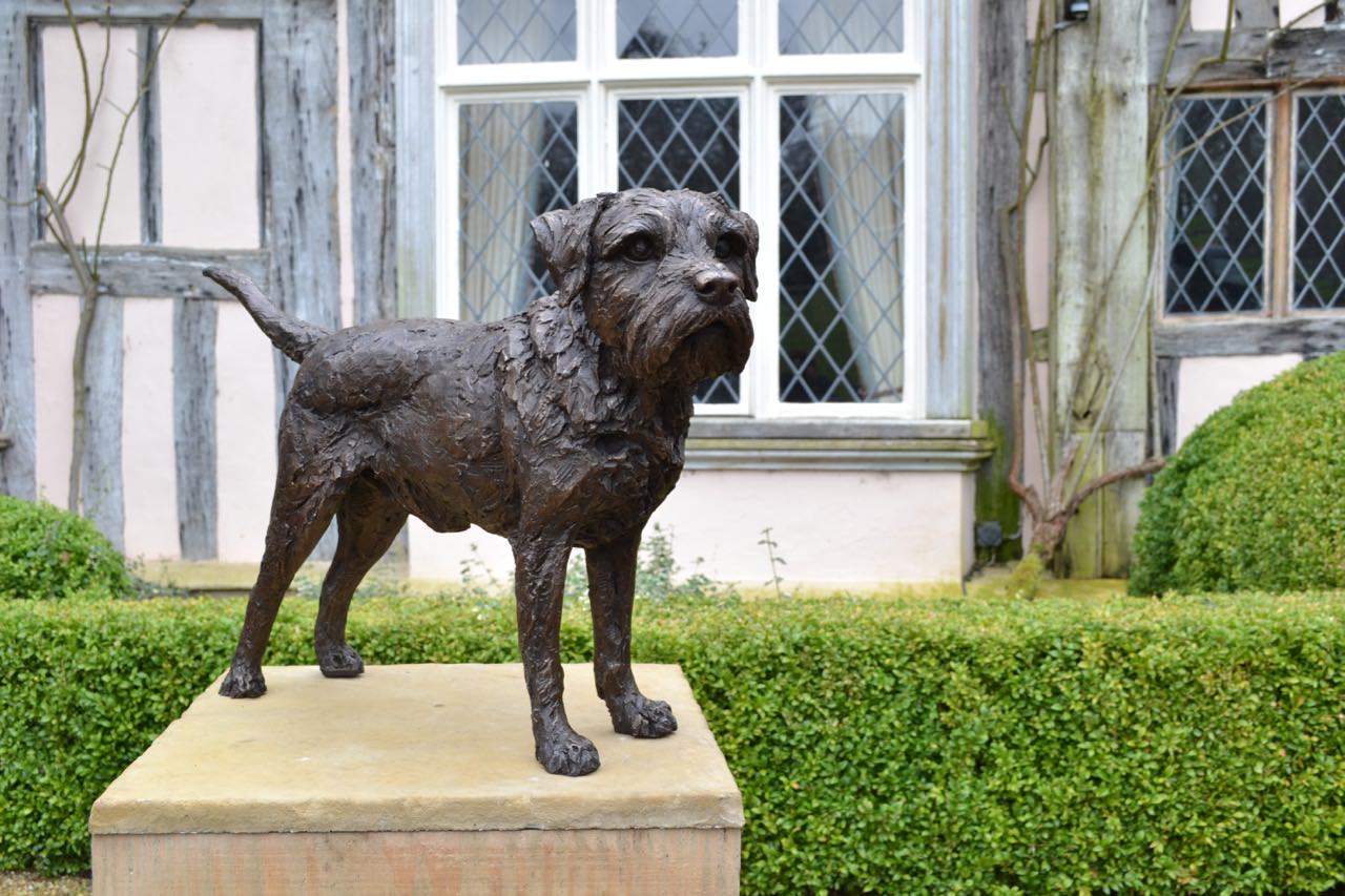 Border Terrier Standing Bronze Sculpture image, dog statue sculpted by Tanya Russell