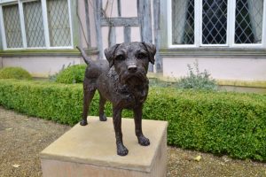 Border Terrier Standing Bronze Sculpture image, dog statue sculpted by Tanya Russell, front view