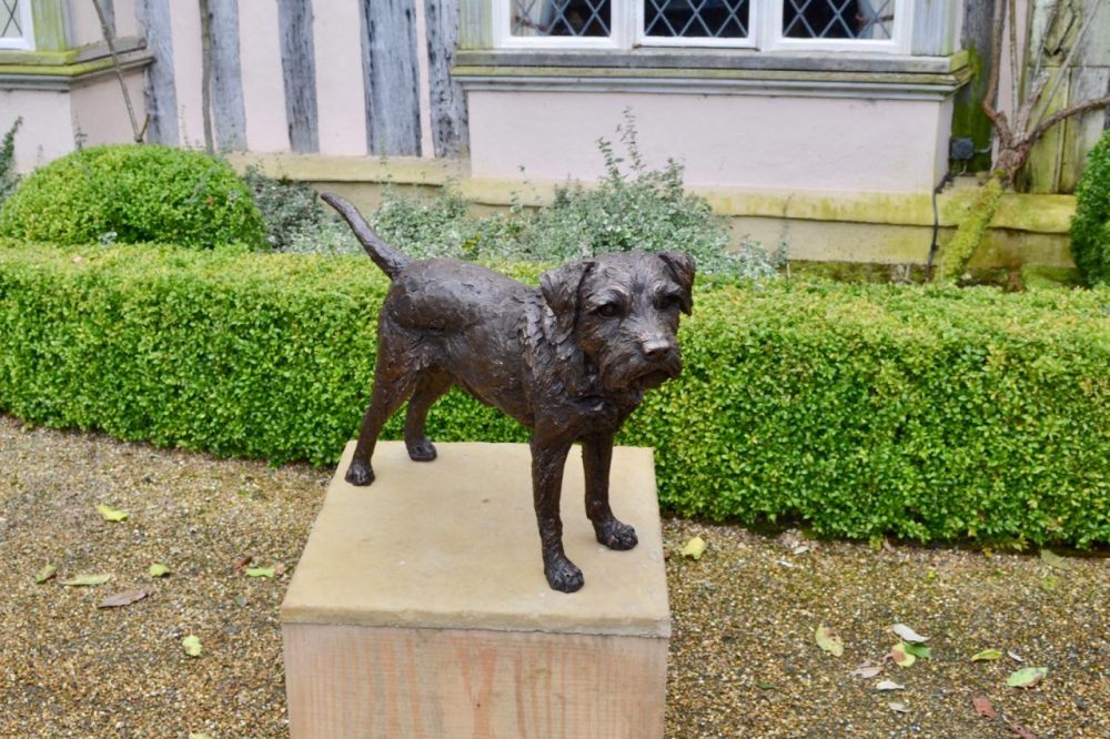 Border Terrier Standing Bronze Sculpture image, dog statue sculpted by Tanya Russell, view from above
