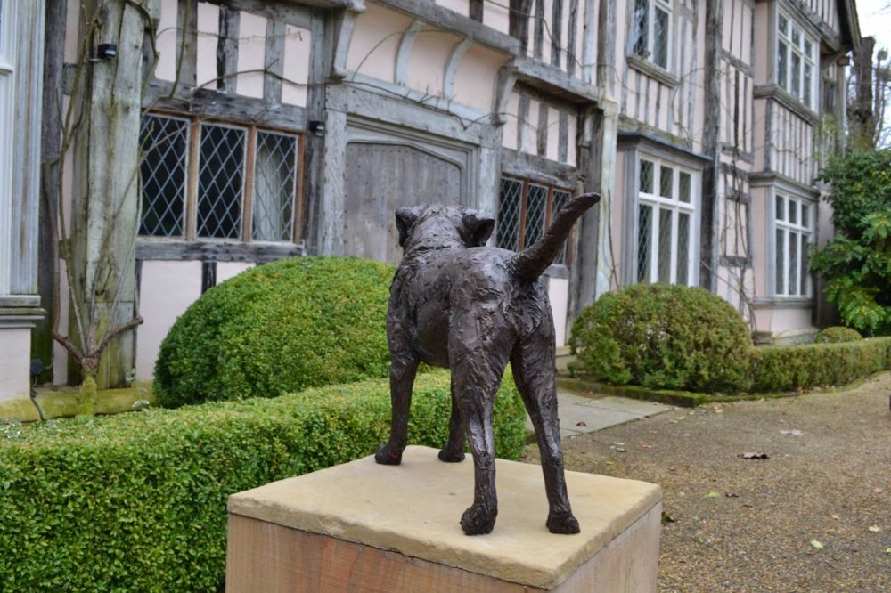 Border Terrier Standing Bronze Sculpture image, dog statue sculpted by Tanya Russell, from behind