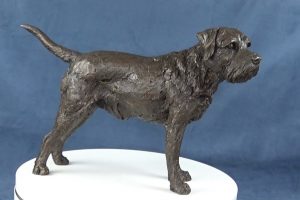Border Terrier Standing Bronze Sculpture image, dog statue sculpted by Tanya Russell