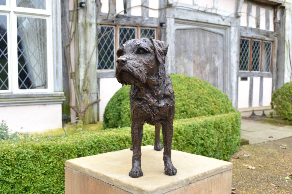 Border Terrier Standing Bronze Sculpture image, dog statue sculpted by Tanya Russell, from the front