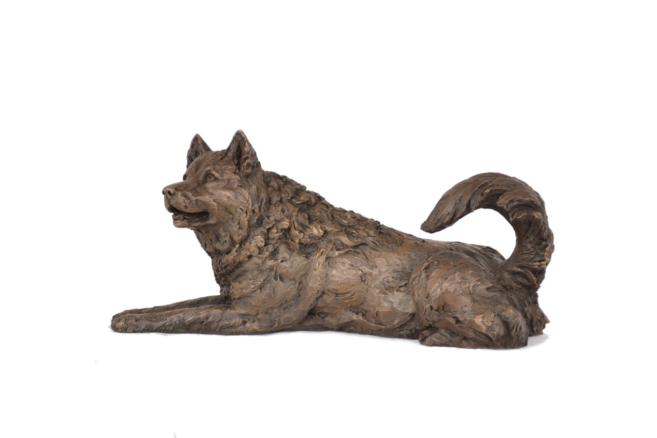 Bronze Lying Malamute sculpture by sculptor Tanya Russell, MRBS