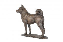 Life Size Akita Statue Bronze Standing Akita Sculpture