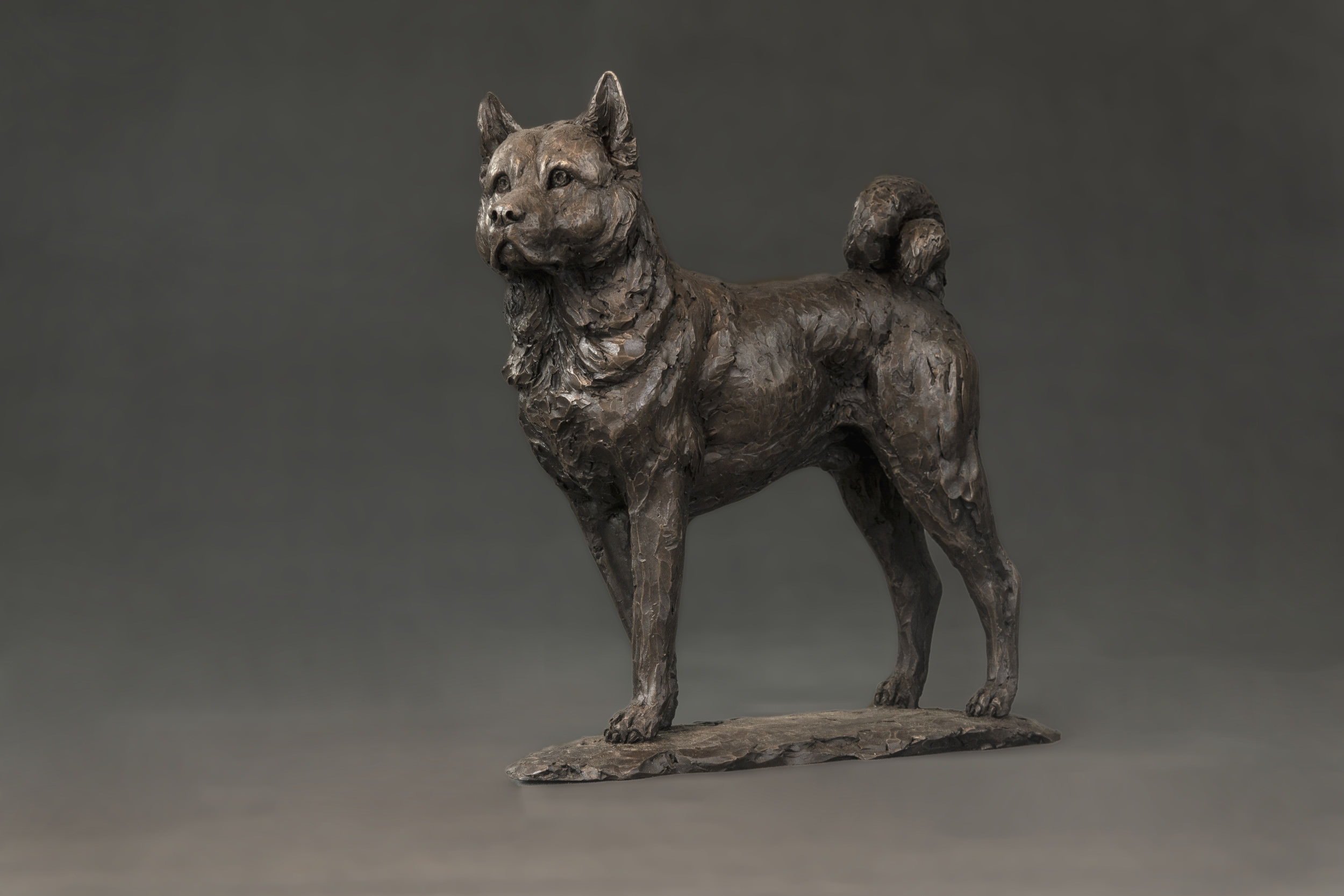 Bronze Standing Akita Sculpture | Akita Statue | Bronze Dog Ornament