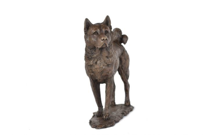 Bronze Standing Akita sculpture by sculptor Tanya Russell, MRBS