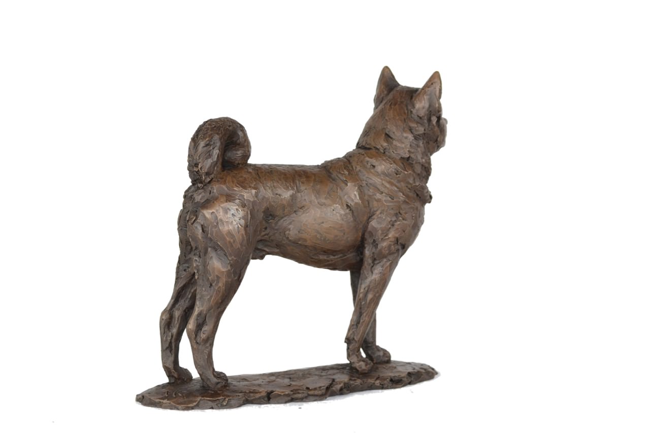 Bronze Standing Akita sculpture by sculptor Tanya Russell, MRBS