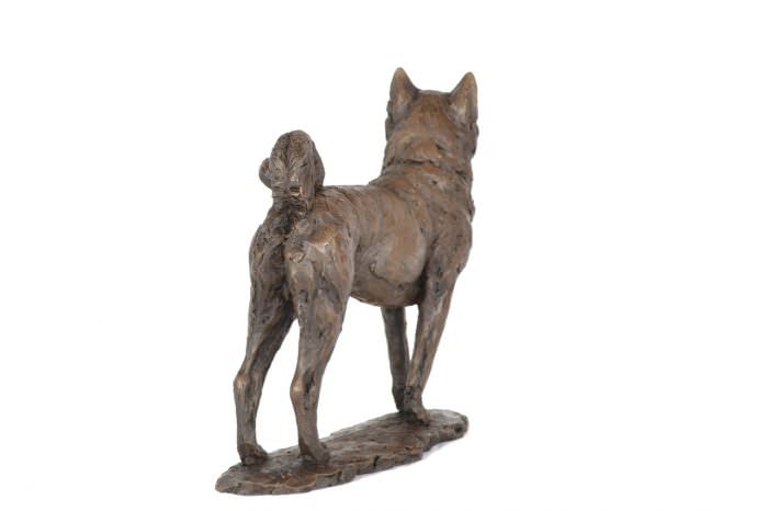 Bronze Standing Akita sculpture by sculptor Tanya Russell, MRBS