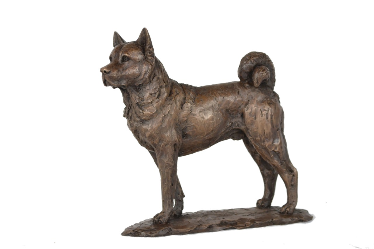 Bronze Standing Akita sculpture by sculptor Tanya Russell, MRBS