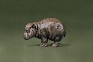 Baby Hippo Side