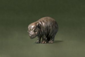 Baby Hippo Sculpture