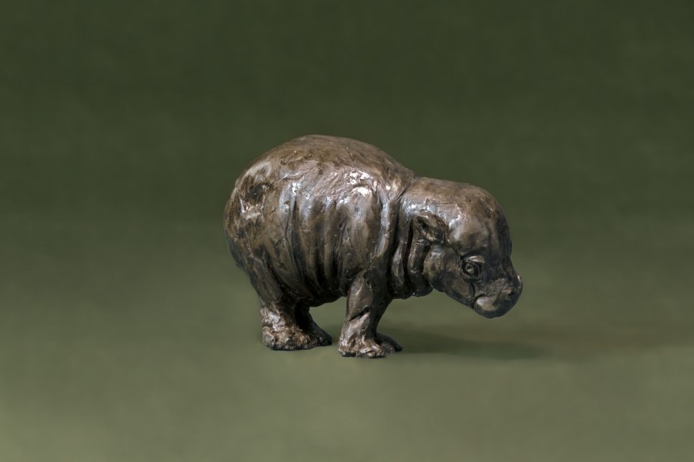 Baby Hippo Art