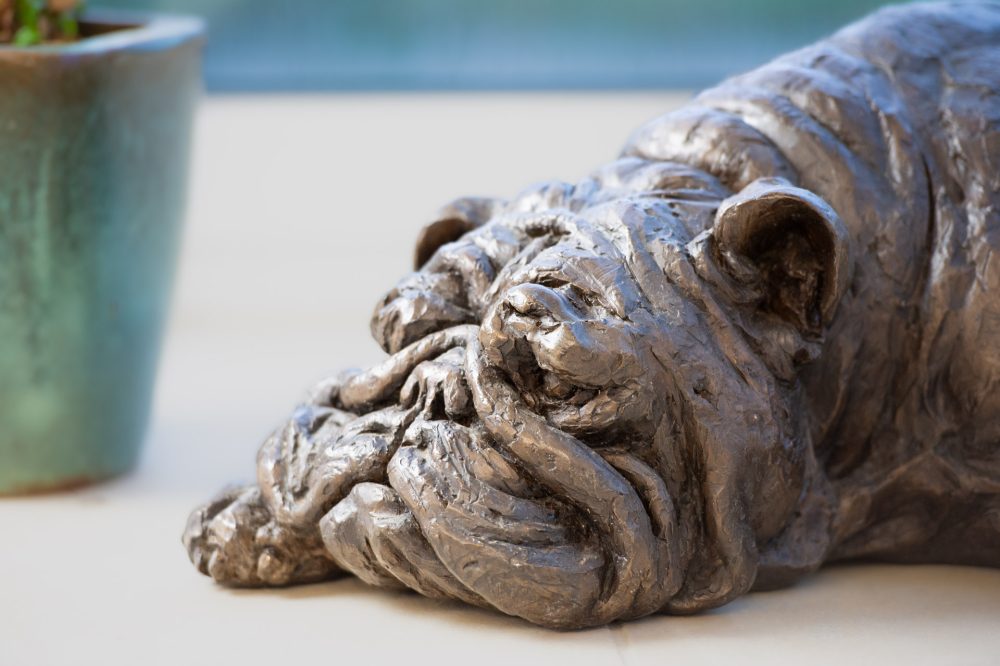 3 'Lying English Bulldog', Bronze Dog, Dog Sculpture, Dog Statue, Bronze Resin, Tanya Russell Animal Sculpture-8