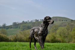 Bronze Walking English Setter sculpture by Tanya Russell