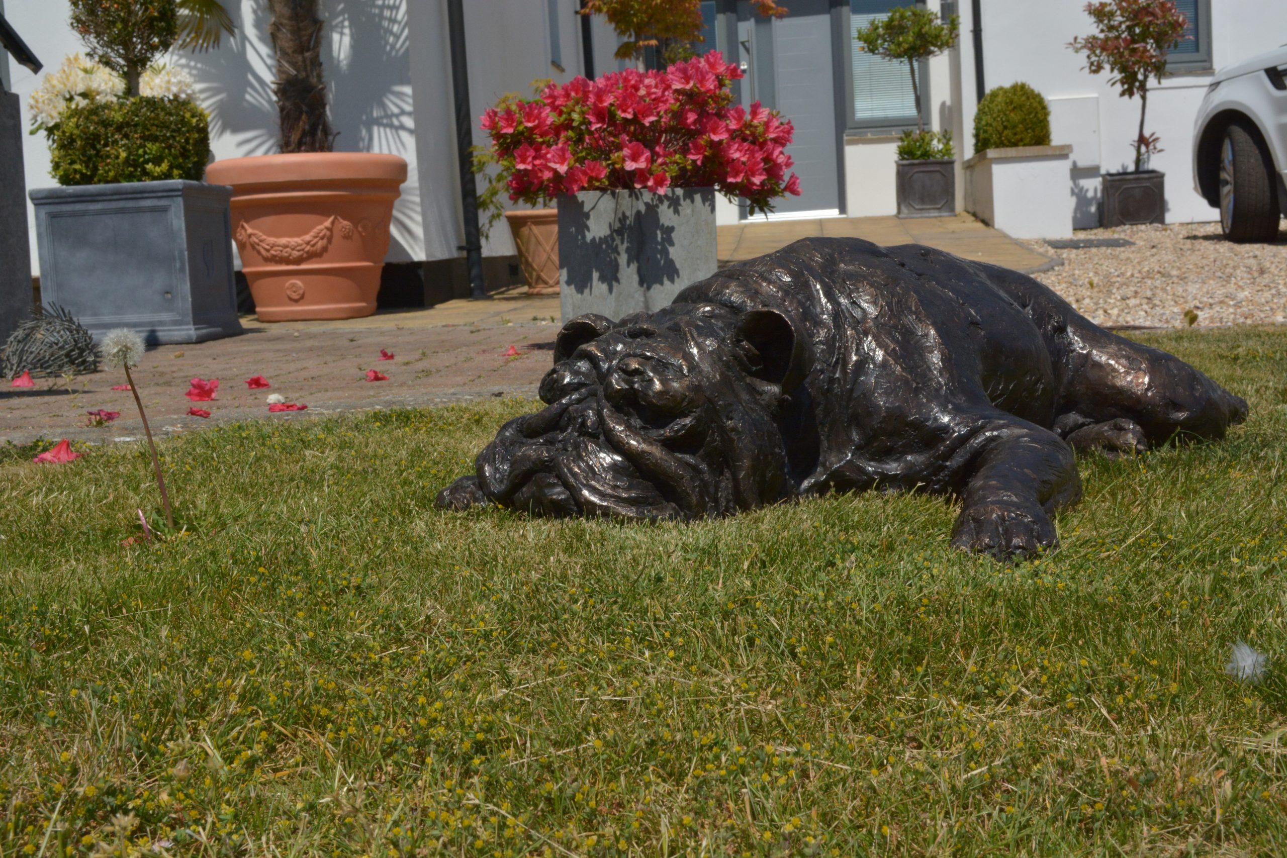 Foundry Bronze English Bulldog