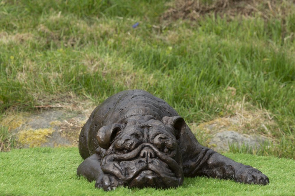 English Bulldog Garden Sculpture