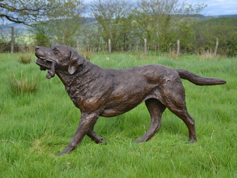 Bronze Labrador playing