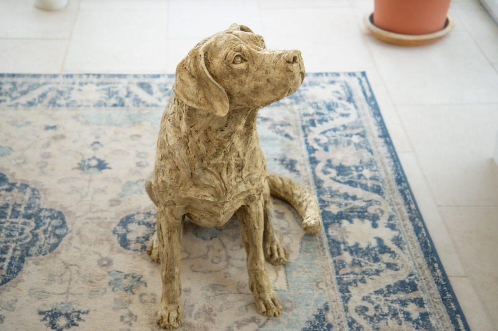 2 'Labrador Looking Up', Dog Sculpture, Dog Statue, Stone Bronze Resin, Tanya Russell Animal Sculptures-12