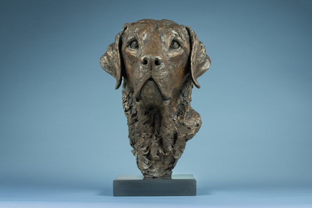 2 'Labrador Portrait', Bronze Dog, Dog Sculpture, Dog Statue, Bronze Resin, Tanya Russell Sculptures-1