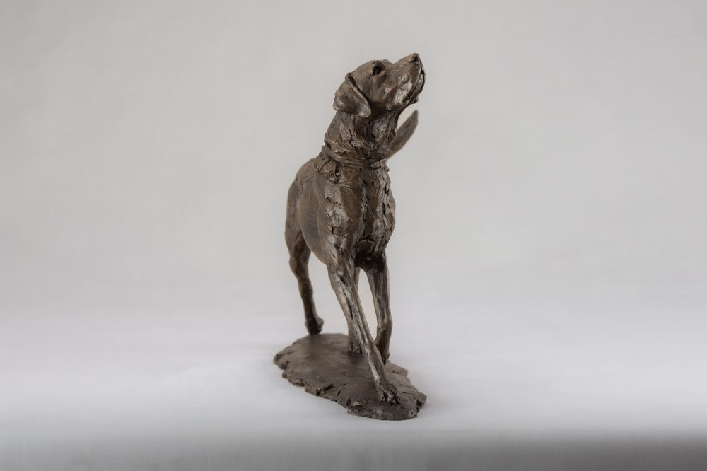 3 BRONZE RESIN - 'Portrait of a Women With Dog', Bronze Women, Women Sculpture, Women Statue, Bronze Resin Tanya Russell Animal Sculptures (9 of 15)