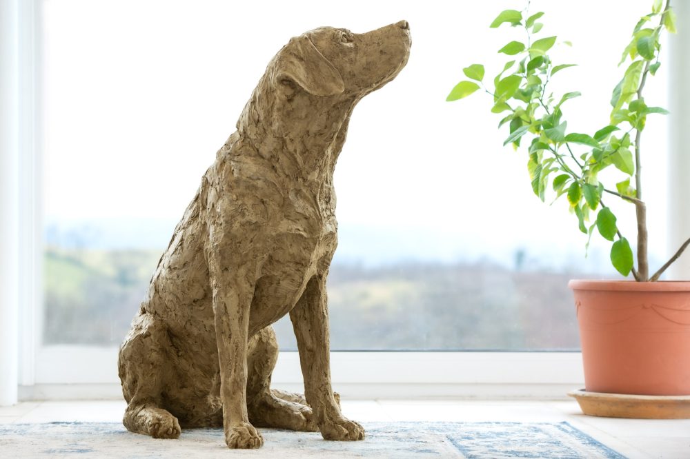 3 'Labrador Looking Up', Dog Sculpture, Dog Statue, Stone Bronze Resin, Tanya Russell Animal Sculptures-6