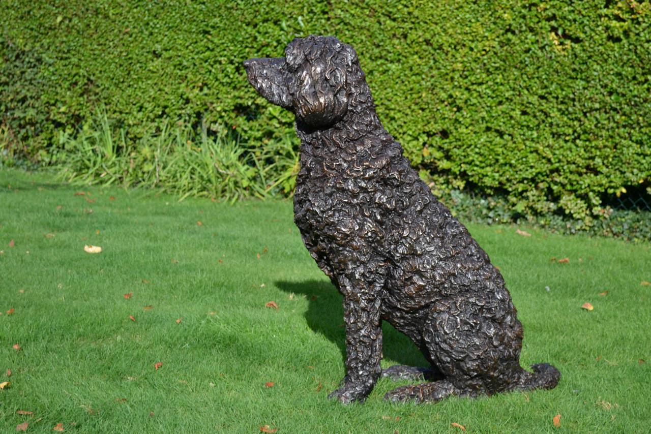 Bronze Labradoodle sculpture | Bronze Labradoodle statue