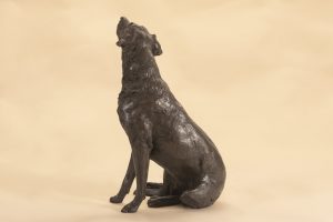 bronze dog labrador
