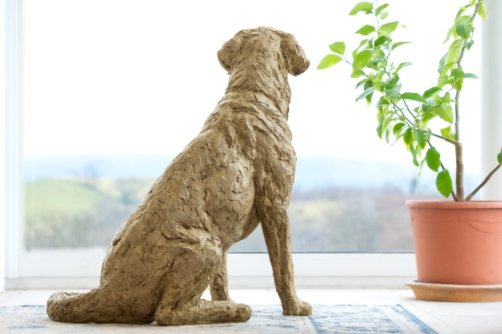 4 'Labrador Looking Up', Dog Sculpture, Dog Statue, Stone Bronze Resin, Tanya Russell Animal Sculptures-4