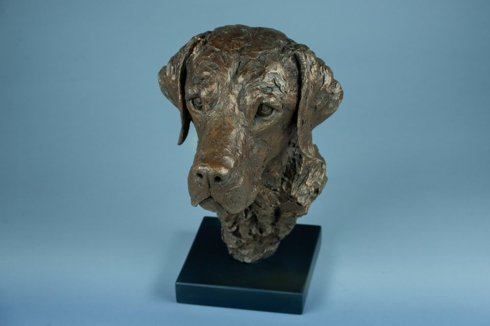 4 'Labrador Portrait', Bronze Dog, Dog Sculpture, Dog Statue, Bronze Resin, Tanya Russell Sculptures-7