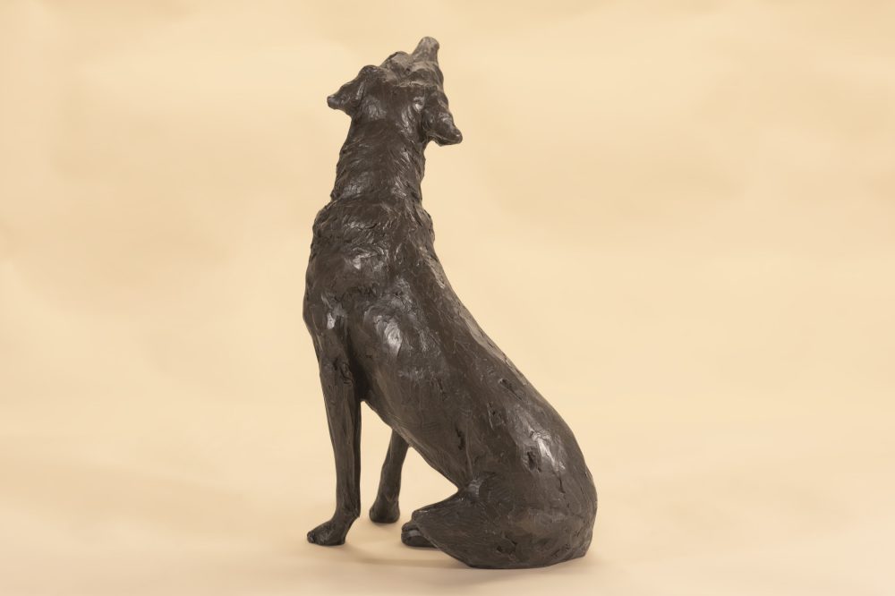 bronze labrador dog