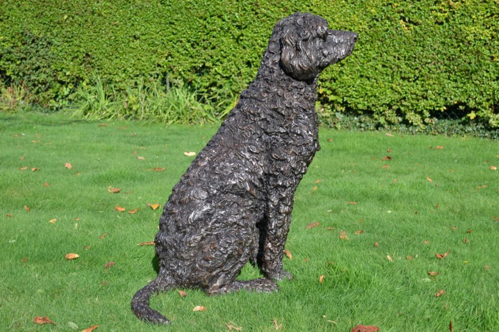 Bronze Labradoodle sculpture | Bronze Labradoodle statue