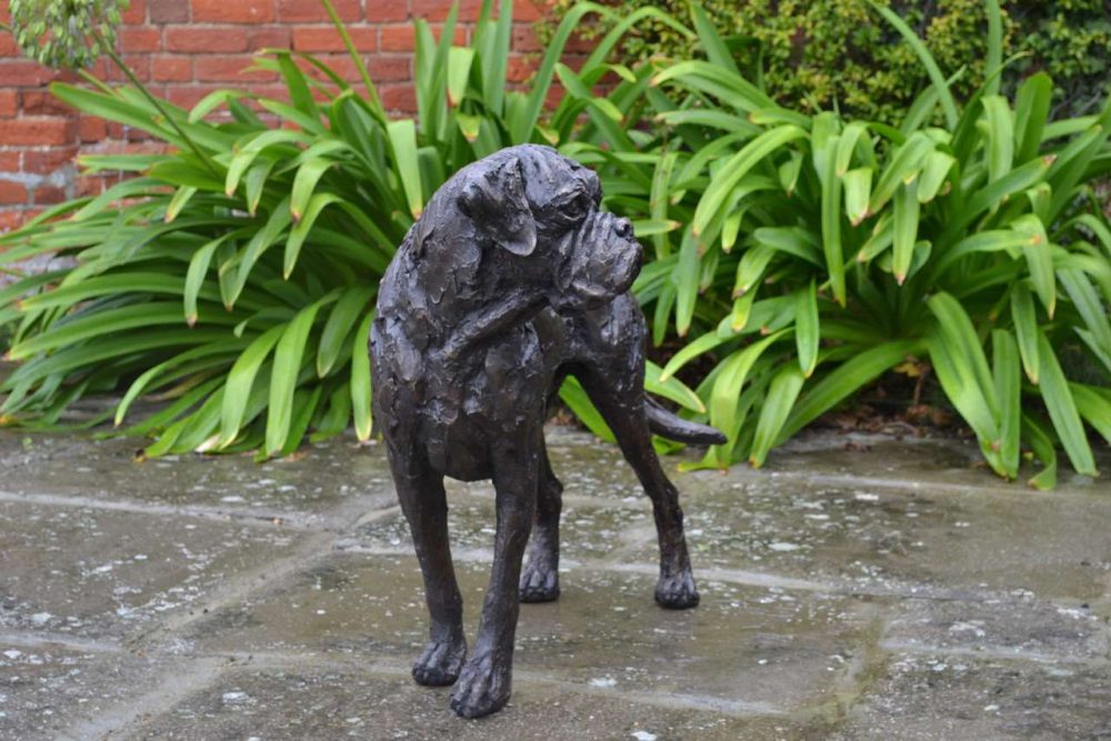 Bronze Boxer Sculpture Dog, Boxer Dog Garden Ornament