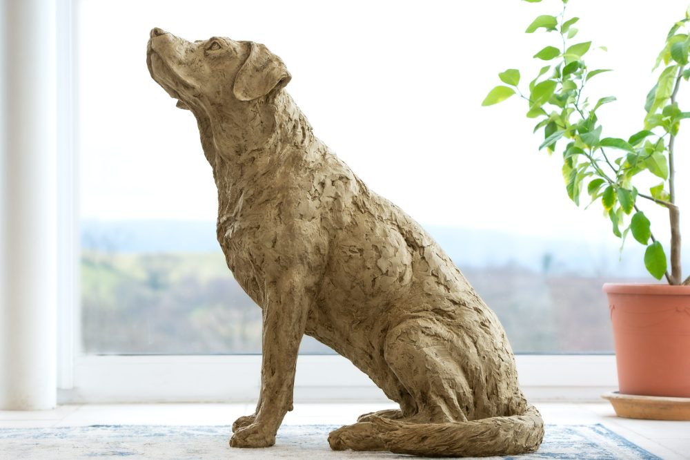 6 'Labrador Looking Up', Dog Sculpture, Dog Statue, Stone Bronze Resin, Tanya Russell Animal Sculptures-1