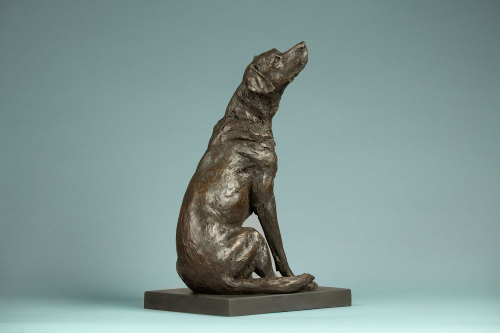 7 'Affection Sitting Labrador', Bronze Dog, Dog Sculpture, Dog Statue, Bronze Resin, Tanya Russell Sculptures-7