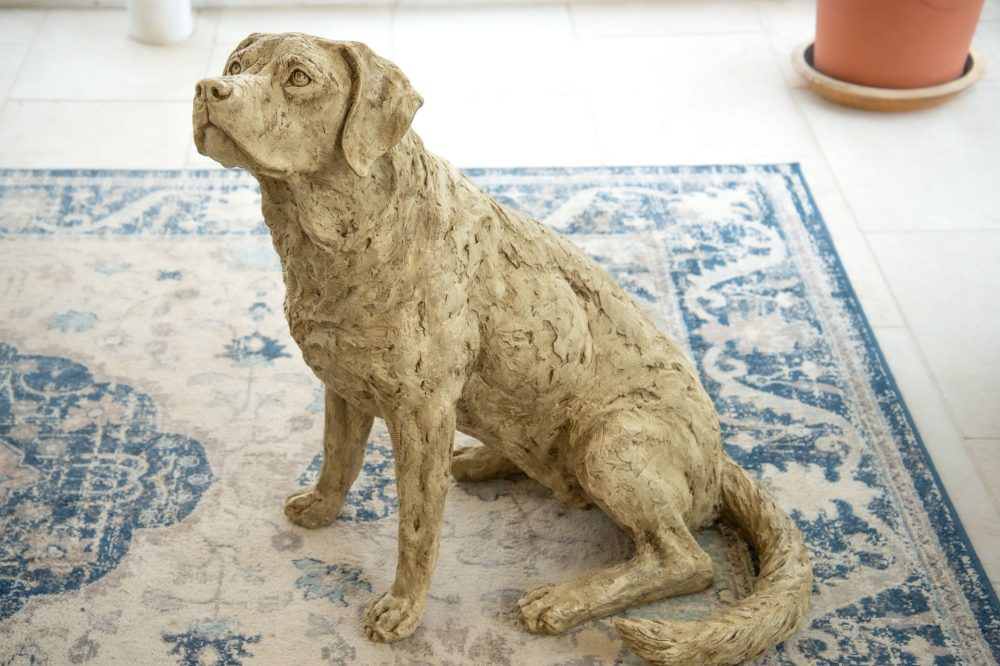 7 'Labrador Looking Up', Dog Sculpture, Dog Statue, Stone Bronze Resin, Tanya Russell Animal Sculptures-11