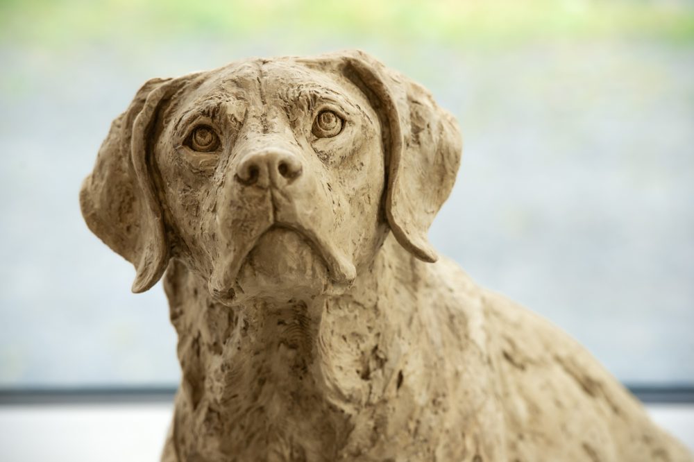 8 'Labrador Looking Up', Dog Sculpture, Dog Statue, Stone Bronze Resin, Tanya Russell Animal Sculptures-7