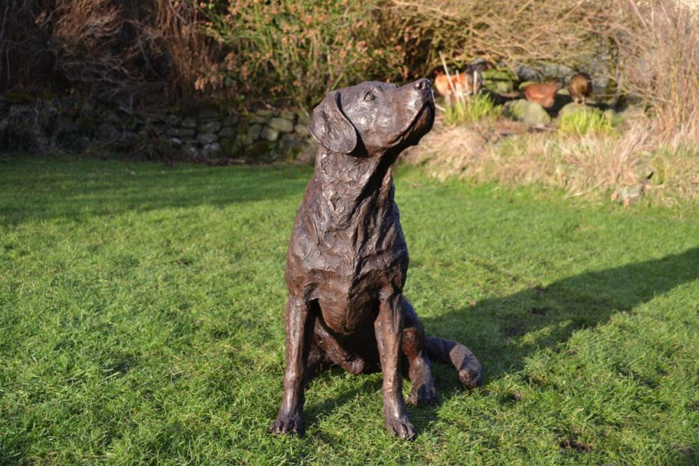 8 Video Labrador looking up dog sculpture - Tanya Russell Dog Statue