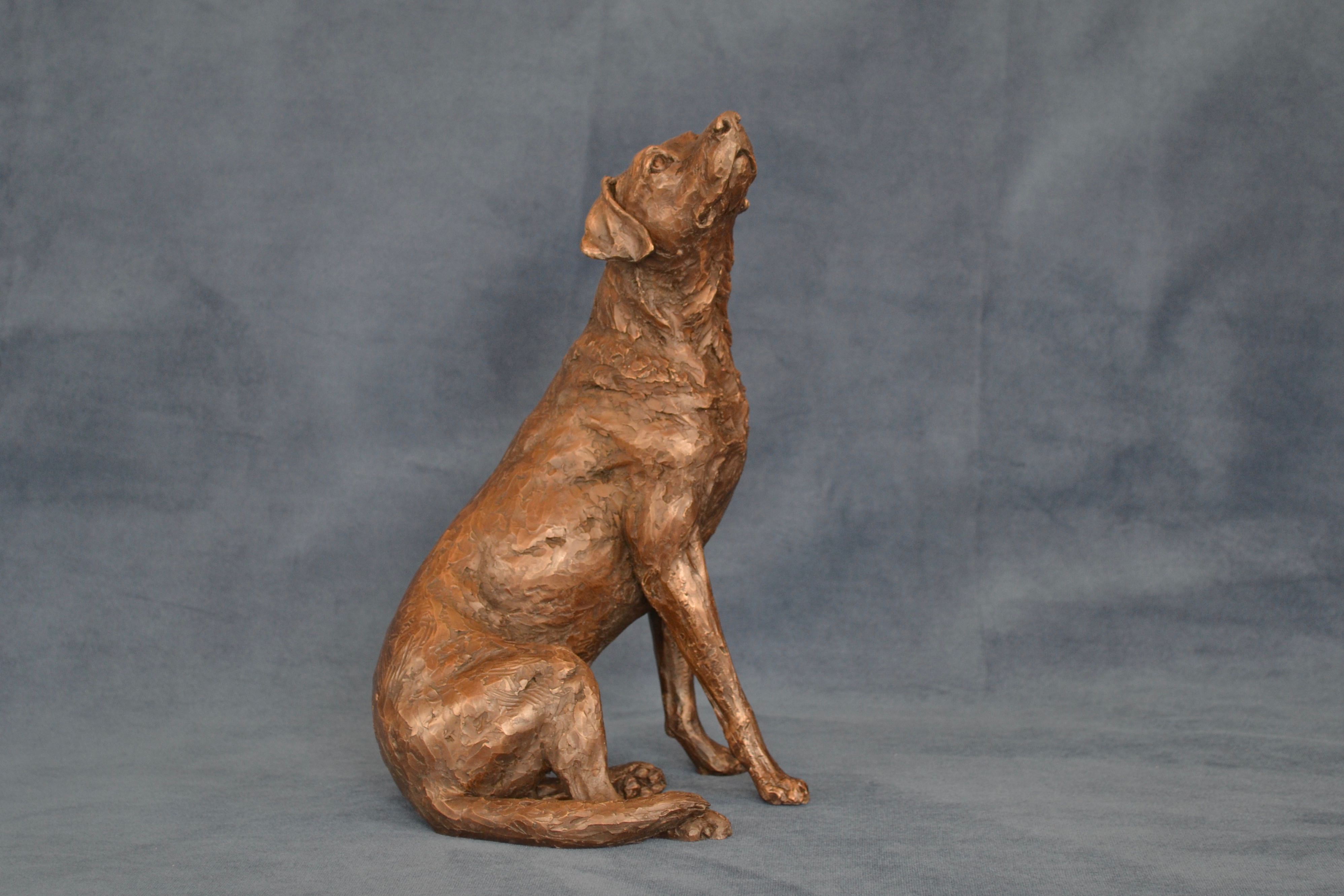 Bronze 'Affection' Sitting Labrador sculpture by Tanya Russell